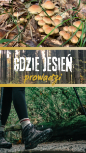 Read more about the article Jesień w Beskidach – Jak Przygotować Się na Jesienny Wypad w Beskidy: Udany wyjazd, Niezależnie od Pogody!